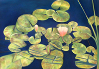 In the Japanese Gardens