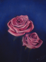 Pink Roses