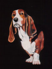 Bob the Beagle