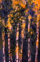 Aspens