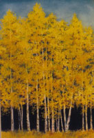 Aspen Grove
