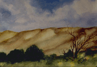 Colorado Sand Dunes - Click for larger view