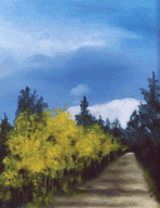 Going Home - Click for larger view